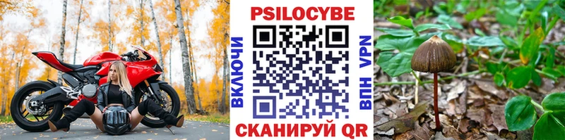 Галлюциногенные грибы MAGIC MUSHROOMS  Казань 